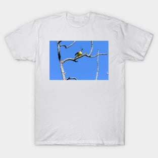 Couch's Kingbird - Dragonfly Tossing T-Shirt
